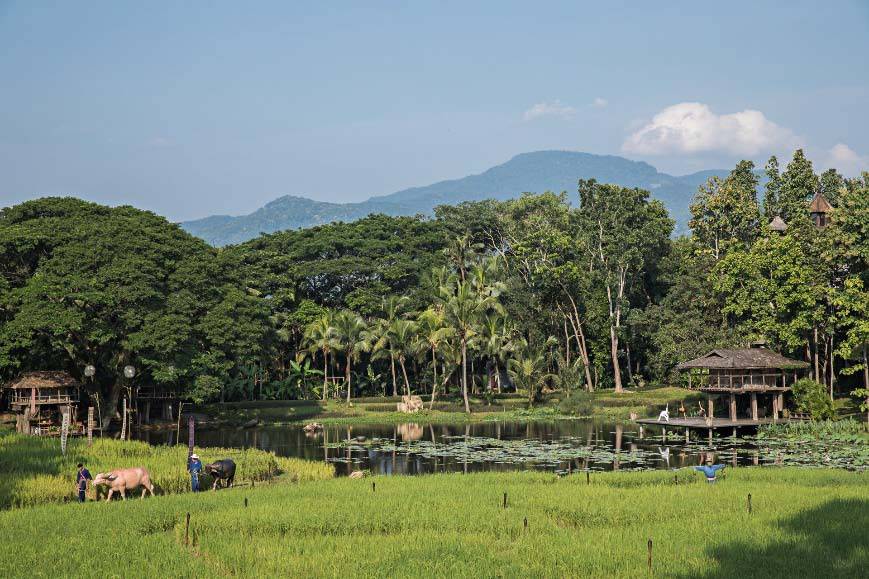 开启自然、文化与健康的探索式度假之旅新葡京走进清迈、苏梅岛与金三角四季：(图5)