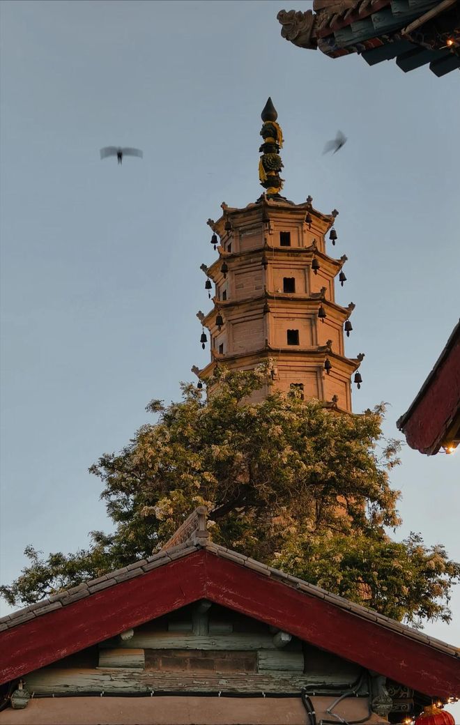 游团攻略9日游畅游甘南秘境享高端玩法新葡京娱乐城甘南9天8晚私人定制旅(图4)