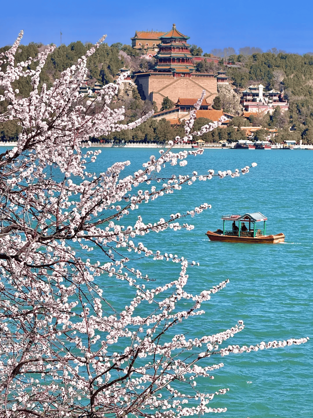 荐:这些高端私人定制赢得游客高度好评新葡京博彩北京好评最多的十大旅行社推(图3) 荐:这些高端私人定制赢得游客高度好评新葡京博彩北京好评最多的十大旅行社推(图3)