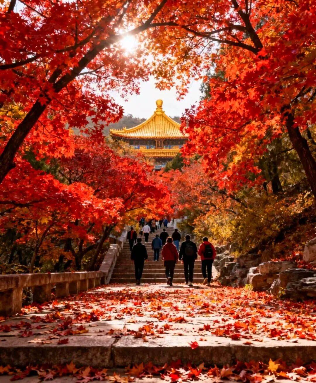 P榜：好途领跑解锁“人无我有”的京味私享