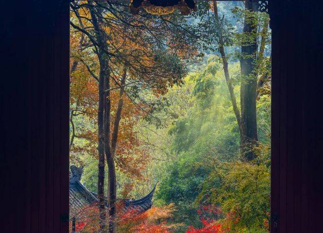 杭州旅行社前十认准这十家旅游团选团澳门新葡京入口12月最新权