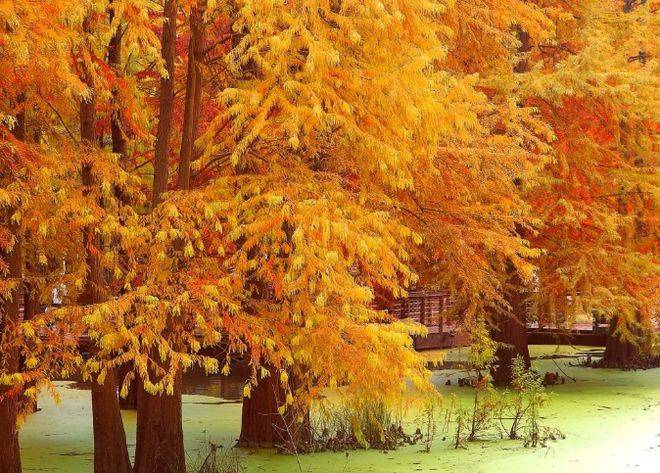 杭州旅行社前十认准这十家旅游团选团澳门新葡京入口12月最新权威发布(图2)