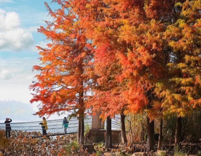 杭州旅行社前十认准这十家旅游团选团澳门新葡京入口12月最新权威发布(图3)